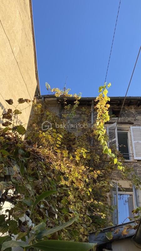 Studio - 15 m² - 1 pièce