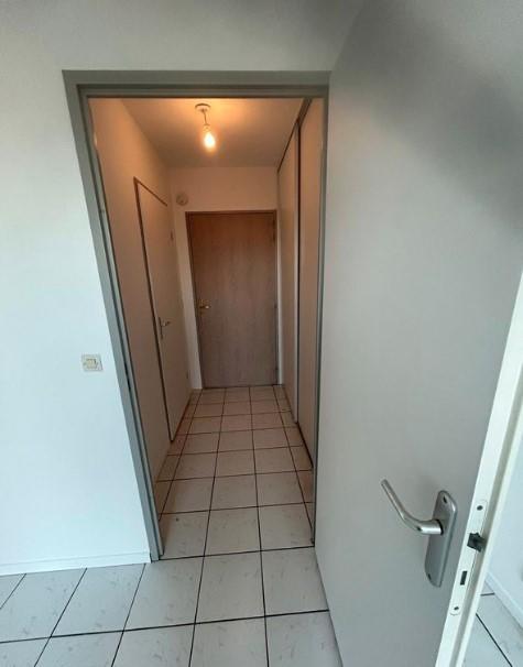 Studio - 25 m² - 1 pièce
