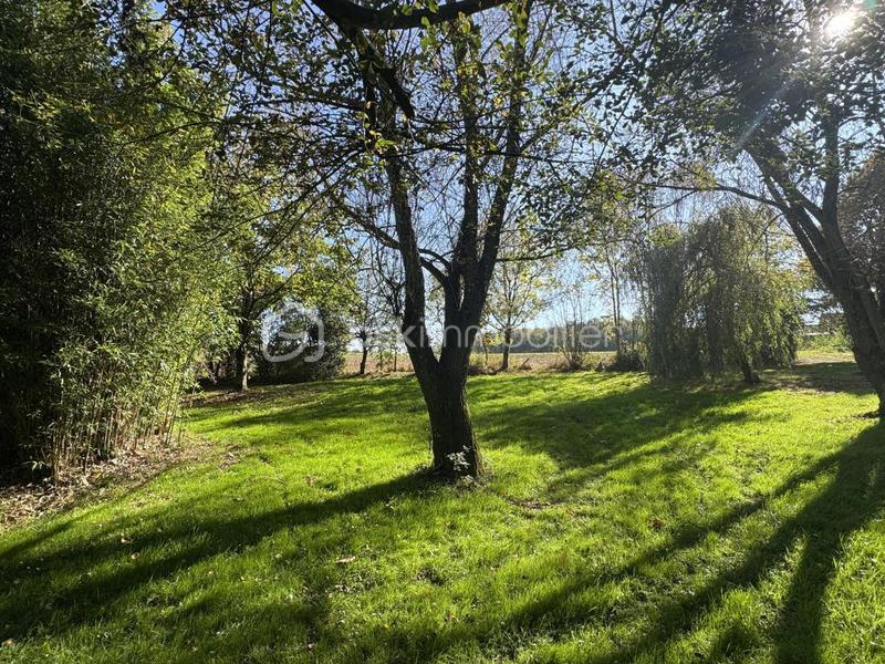 Terrain de loisirs - 7 023 m²