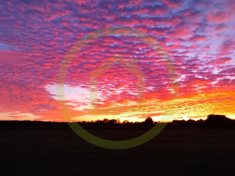 Remise - 128 m² - 1 pièce