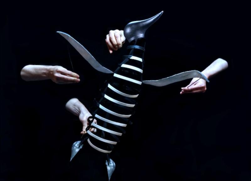 Spectacle jeune public à Figeac : le complexe du pingouin