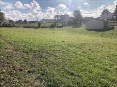 Terrain constructible - 1 446 m²