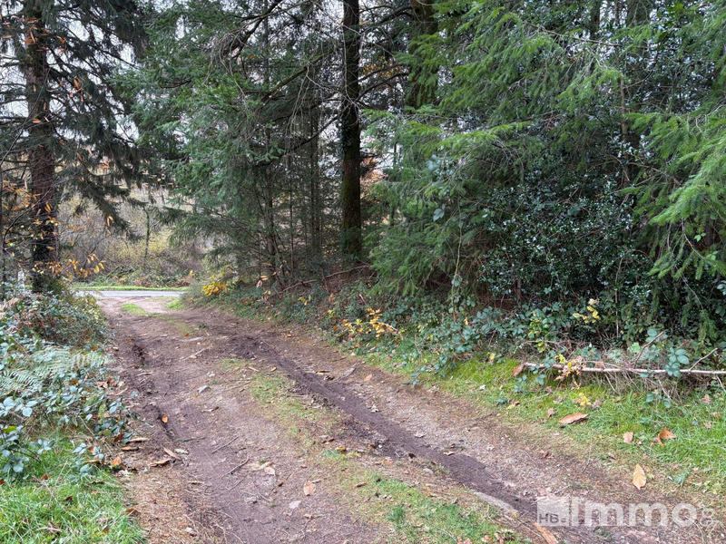 Terrain de loisirs - 34 693 m²