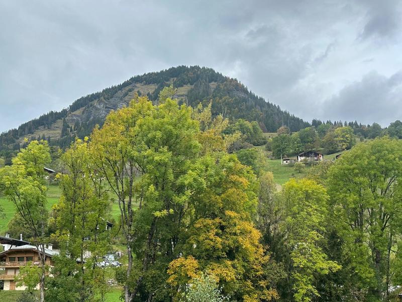 Châlet - 260 m² - 11 pièces