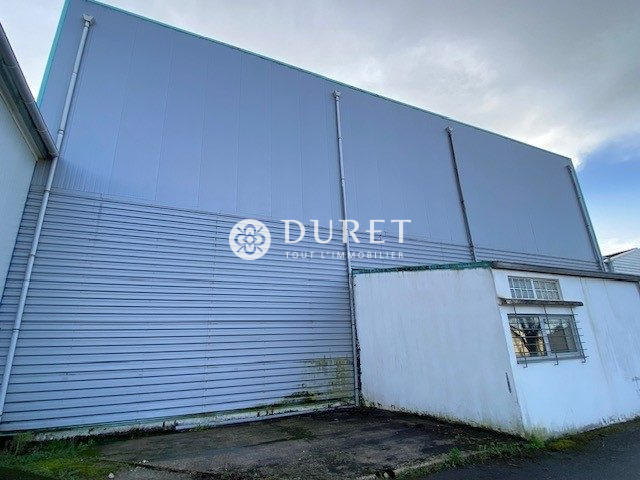 Local d'activités - 595 m²