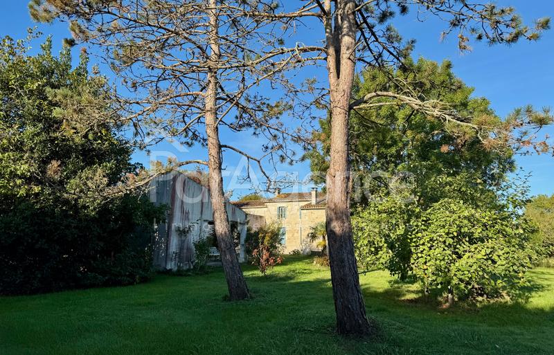 Maison - 241 m² - 8 pièces