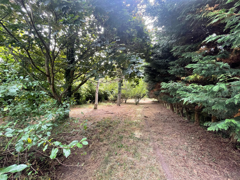 Maison ancienne - 160 m² - 8 pièces