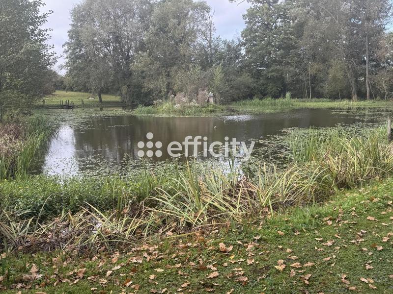 Maison - 235 m² - 6 pièces