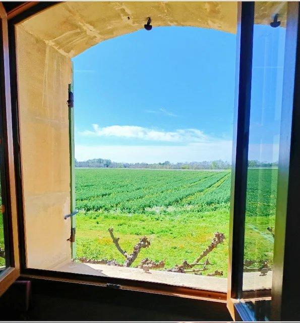 Mas - 306 m² - 10 pièces