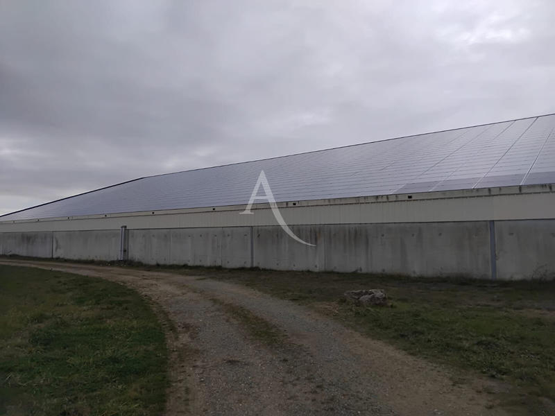 Local d'activité / Entrepôt - 1 440 m²