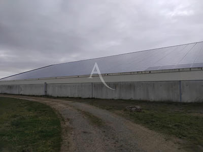 Local d'activité / Entrepôt - 1 440 m²