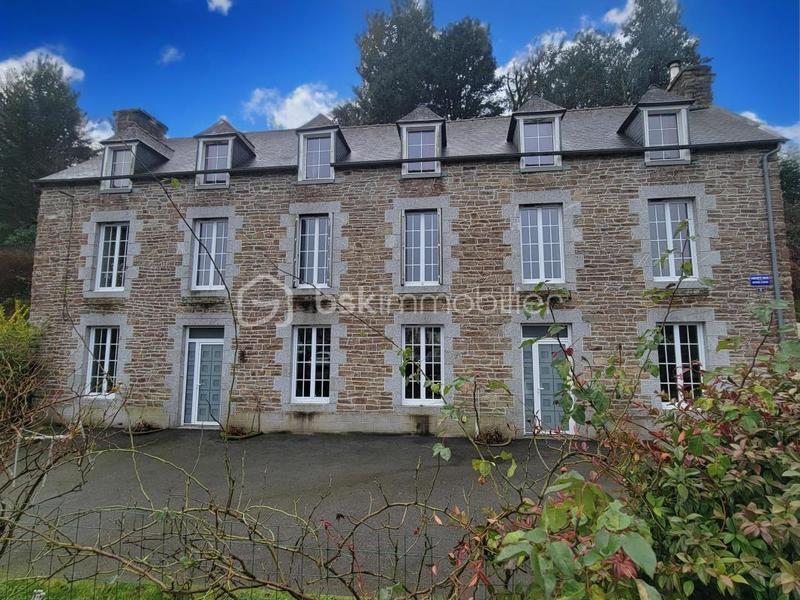 Maison en pierre - 239 m² - 10 pièces