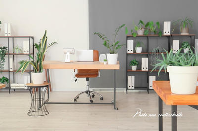 Bureau - 43 m²