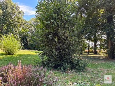 Maison - 203 m² - 8 pièces