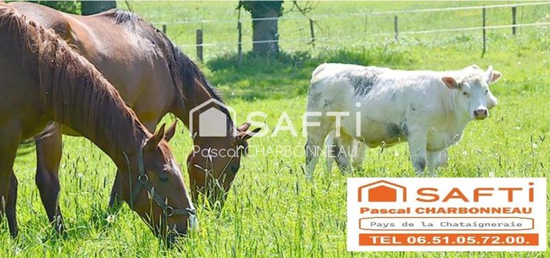 Maison - 156 m² - 5 pièces