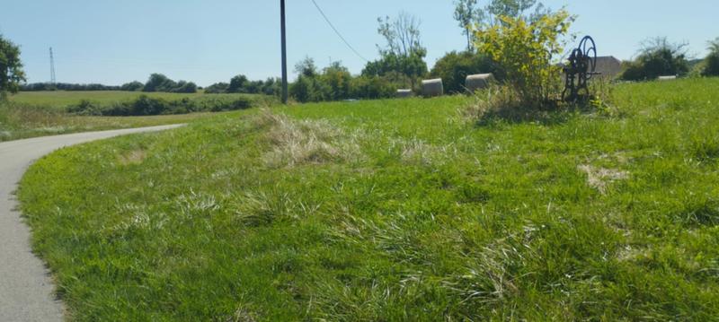 Terrain constructible - 4 000 m²