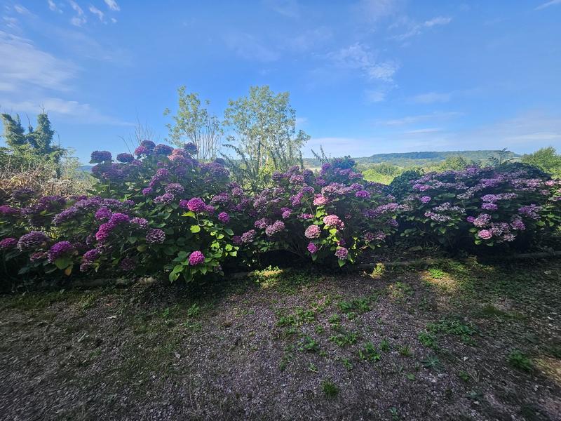 Terrain agricole - 3 547 m²