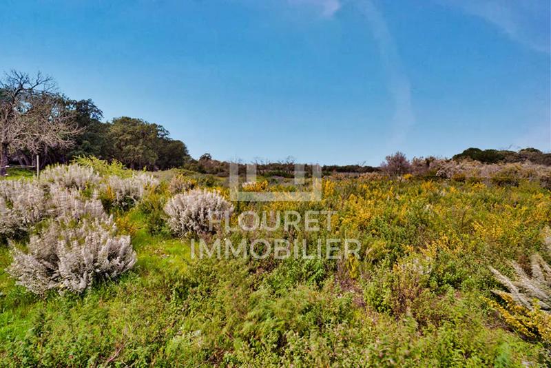 Propriété - 230 m² - 7 pièces