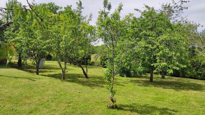 Maison - 160 m² - 8 pièces