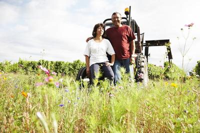 Apéritif vigneron au Château Haut-Claverie