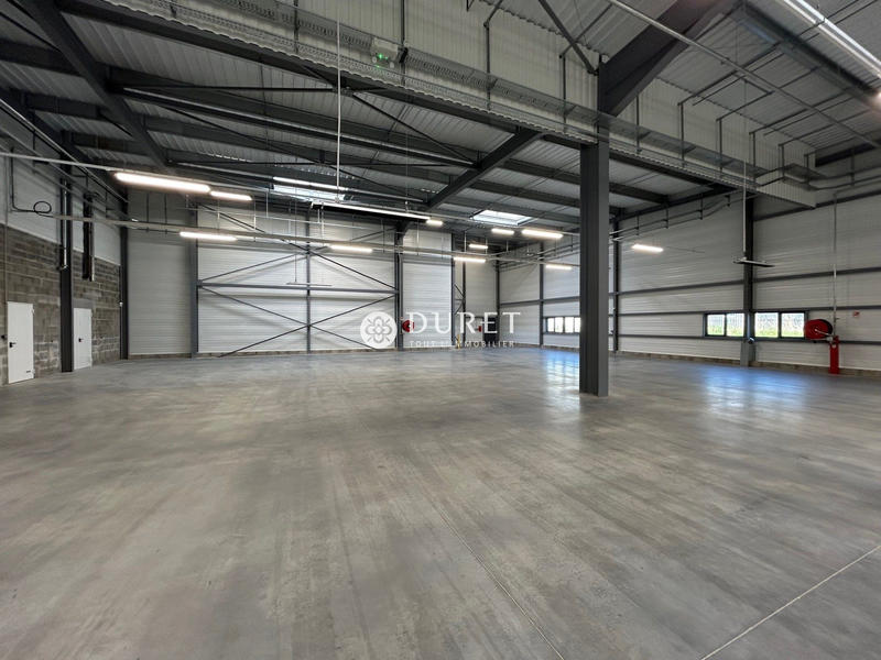Local d'activités - 2 037 m²