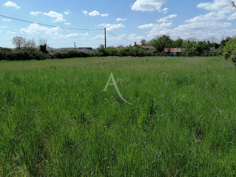 Terrain - 1 224 m²