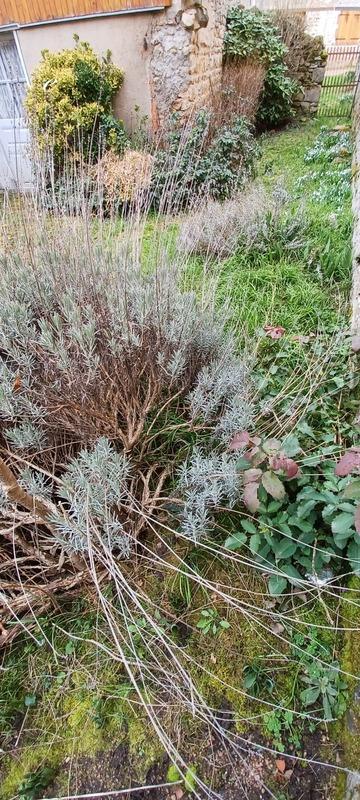 Maison - 144 m² - 8 pièces