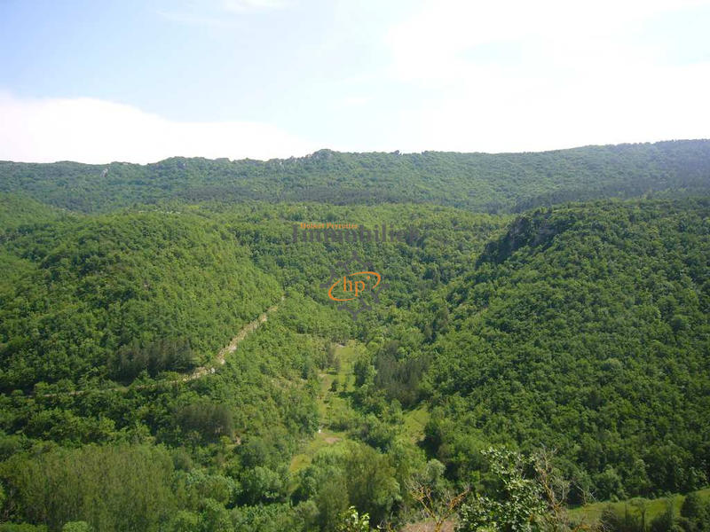 Maison - 55 m² - 2 pièces