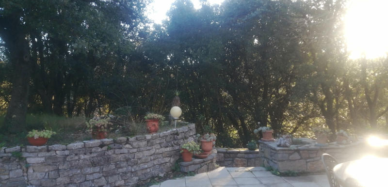 Propriété - 220 m² - 6 pièces