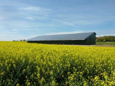 Local d'activité / Entrepôt - 1 200 m² - 1 pièce