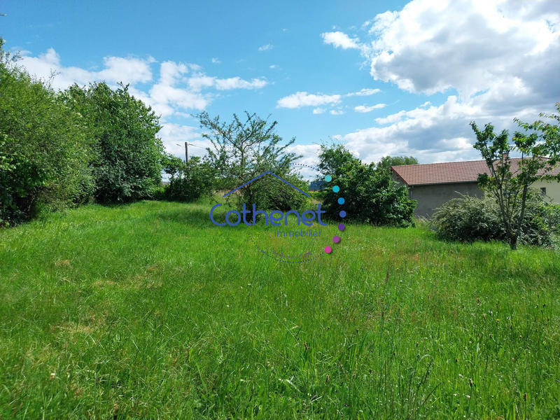 Maison ancienne - 200 m² - 8 pièces