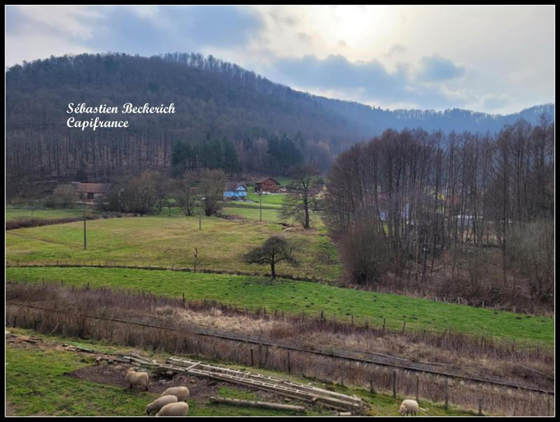 Maison - 168 m² - 8 pièces