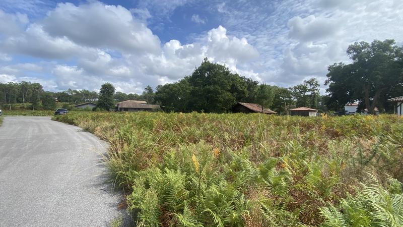 Terrain constructible - 1 350 m²