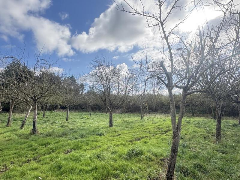 Longère - 105 m² - 5 pièces