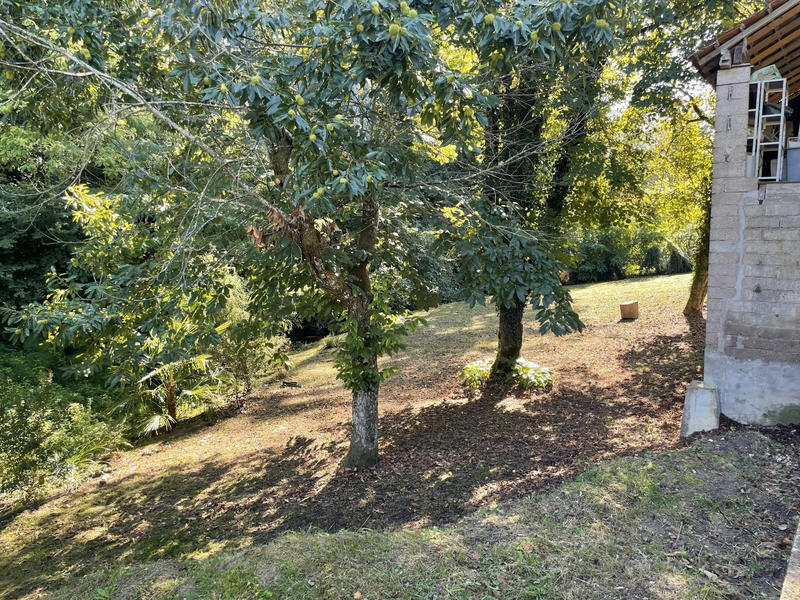 Maison - 45 m² - 1 pièce