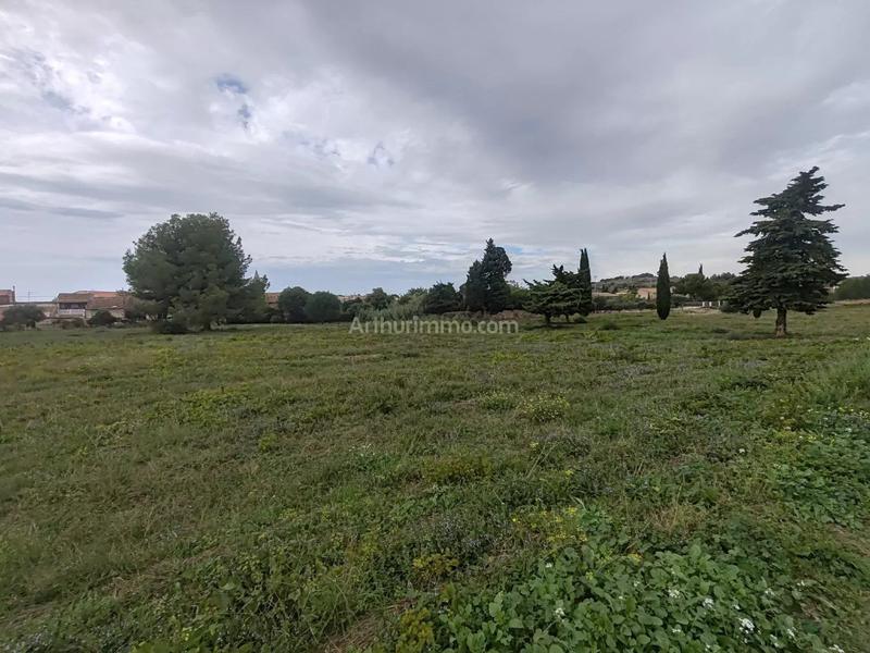 Terrain - 288 m²