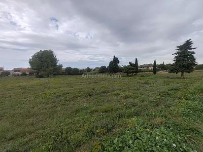 Terrain - 288 m²