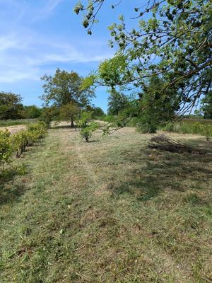 Terrain agricole - 1 490 m²