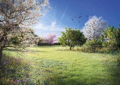 Appartement - 37 m² - 1 pièce