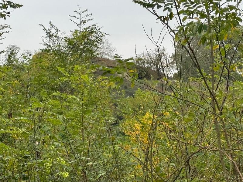 Terrain - 98 000 m²