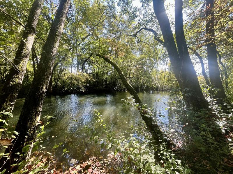 Appartement - 131 m² - 5 pièces