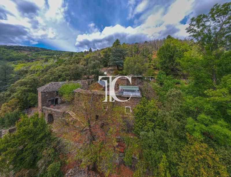 Maison en pierre - 82 m² - 7 pièces