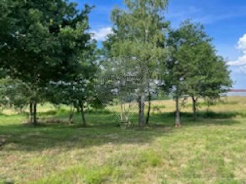 Terrain - 1 691 m²