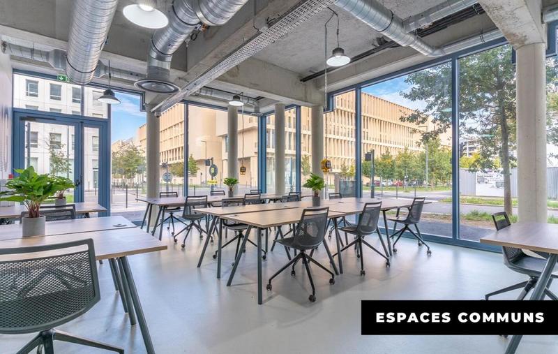 Studio - 17 m² - 1 pièce