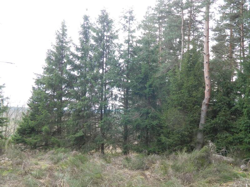 Maison - 80 m² - 2 pièces