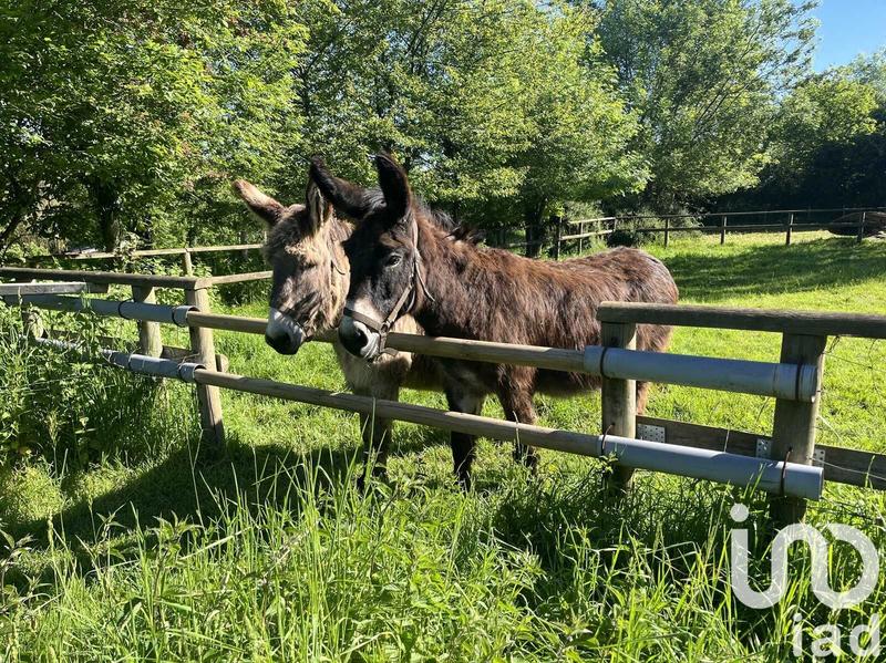 Maison - 630 m² - 20 pièces