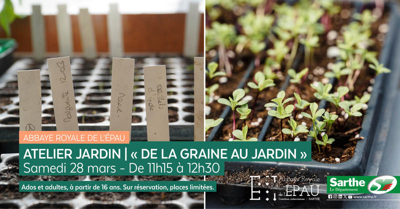 atelier au jardin : de la graine au jardin