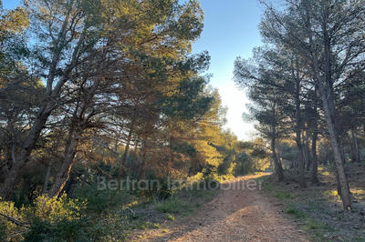 Terrain - 3 596 m²