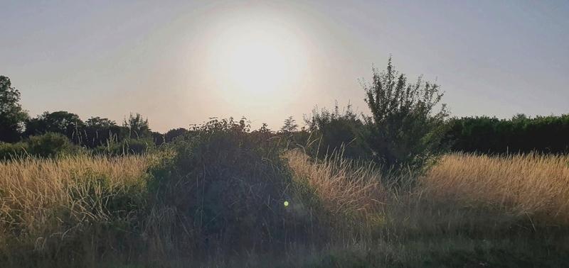 Terrain constructible - 1 465 m²