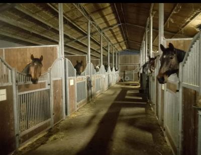 Gîte - 270 m² - 15 pièces